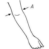 Measurement Point