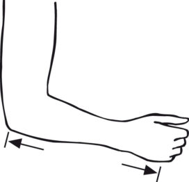 Measurement Point