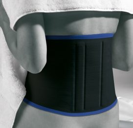 ActiveColor® Back Support-0