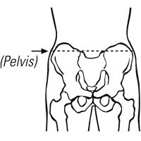 Pelvis Measurement