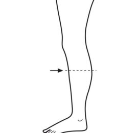 Calf Measurement