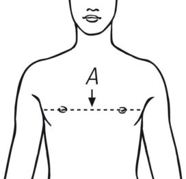 Chest Measurement