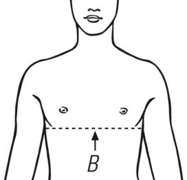 Chest Measurement2