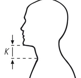 Chin Height