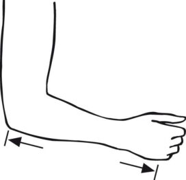 Elbow to Hand Measuremnt