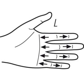 Finger Measurement4