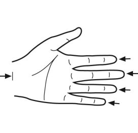 Finger Measurement5