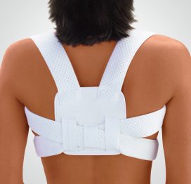 White, Back View