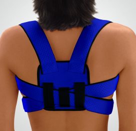 Blue, Back View